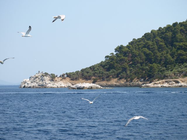 Zdjęcia: Kelifos, chalkidiki, OGON ŻÓŁWIA - koniec wyspy, GRECJA Zdjęcia: Kelifos, chalkidiki, OGON ŻÓŁWIA - koniec wyspy, GRECJA