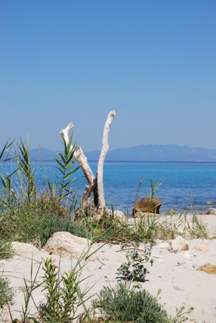 Zdjęcia: Kriopigi, Półwysep Chalkidiki, Bezludna plaza 4, GRECJA Zdjęcia: Kriopigi, Półwysep Chalkidiki, Bezludna plaza 4, GRECJA