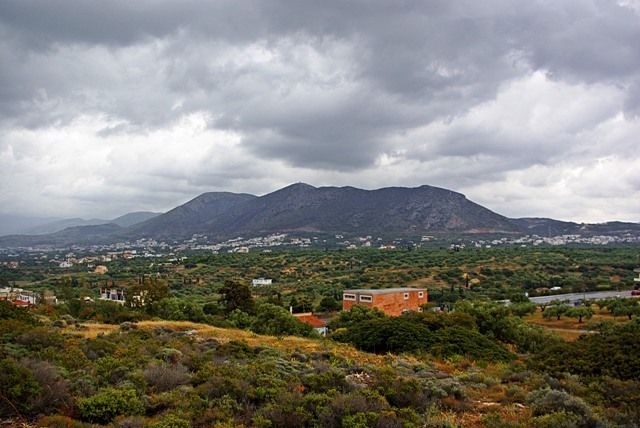 Zdjęcia: Hersonissos/Anissaras, Kreta, Piękny, majowy poranek, GRECJA Zdjęcia: Hersonissos/Anissaras, Kreta, Piękny, majowy poranek, GRECJA