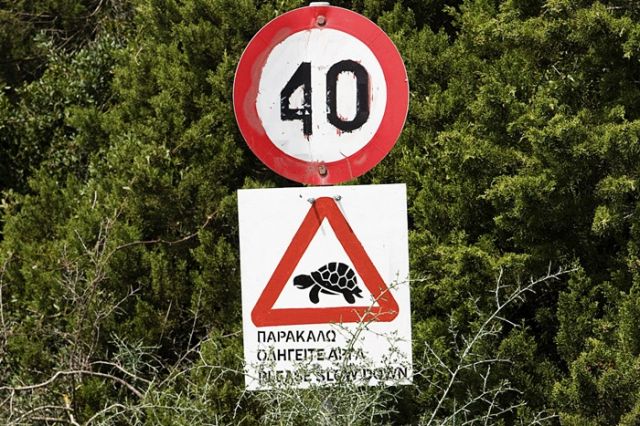 Zdjęcia: ok. Nei Pori, Pieria , Uwaga na ......, GRECJA Zdjęcia: ok. Nei Pori, Pieria , Uwaga na ......, GRECJA