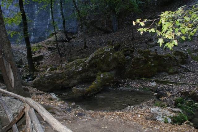 Zdjęcia: rodos, dolina motyli, GRECJA Zdjęcia: rodos, dolina motyli, GRECJA