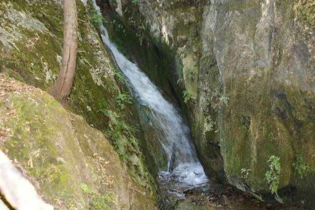 Zdjęcia: rodos, dolina motyli 3, GRECJA Zdjęcia: rodos, dolina motyli 3, GRECJA