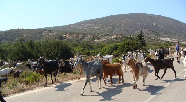 Zdjęcia: Prasonissi, Rodos, Blokada, GRECJA Zdjęcia: Prasonissi, Rodos, Blokada, GRECJA