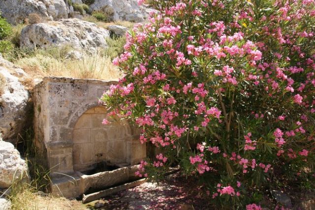 Zdjęcia: Voila, Kreta, Starożytna Voila VIII, GRECJA Zdjęcia: Voila, Kreta, Starożytna Voila VIII, GRECJA