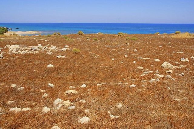 Zdjęcia: Kserokampos, Kreta, Łąka, GRECJA Zdjęcia: Kserokampos, Kreta, Łąka, GRECJA