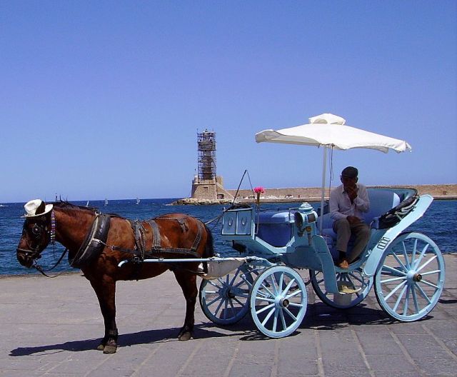 Zdjęcia: Chania, wyspa Kreta, koń w kapeluszu , GRECJA Zdjęcia: Chania, wyspa Kreta, koń w kapeluszu , GRECJA