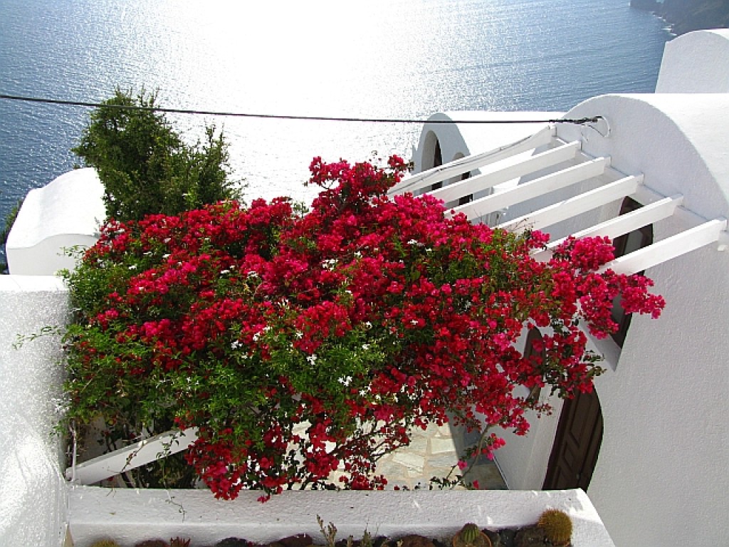 Zdjęcia: Santorini , Cyklady, Thira (Fira), GRECJA Zdjęcia: Santorini , Cyklady, Thira (Fira), GRECJA