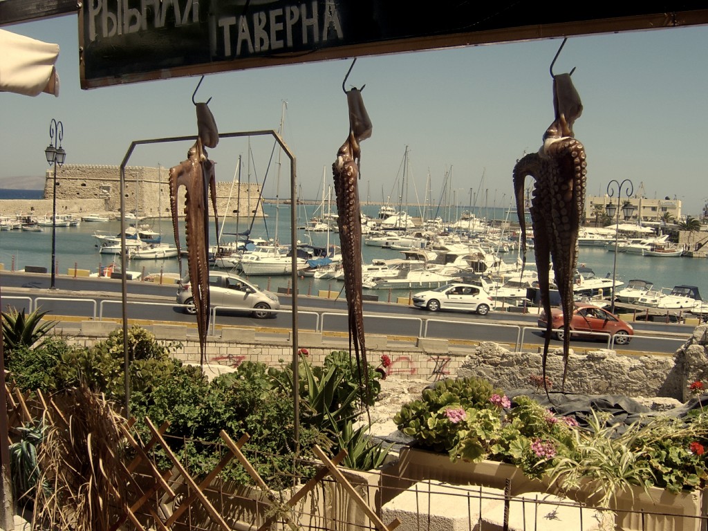 Zdjęcia: Heraklion, Kreta, Ośmiornica, GRECJA Zdjęcia: Heraklion, Kreta, Ośmiornica, GRECJA