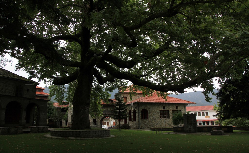 Zdjęcia: Metsovo, Epir, Pod platanem, GRECJA Zdjęcia: Metsovo, Epir, Pod platanem, GRECJA