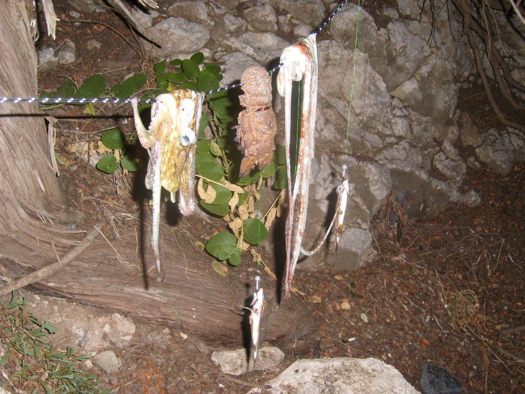 Zdjęcia: Amiros Skala, Rodos, polowanie2, GRECJA Zdjęcia: Amiros Skala, Rodos, polowanie2, GRECJA