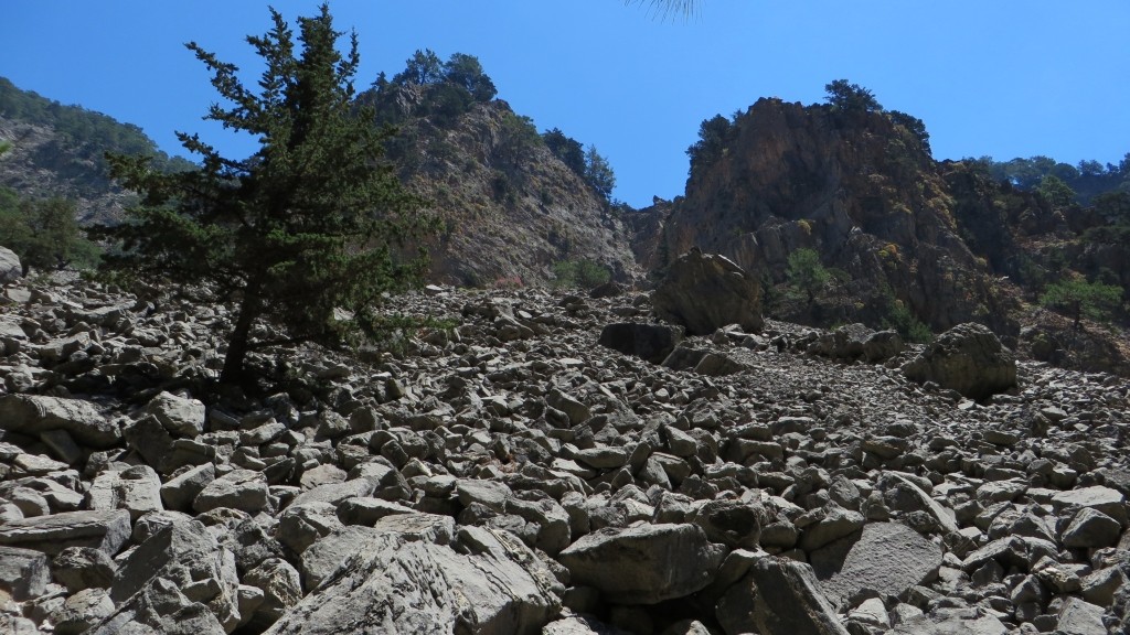 Zdjęcia: Kreta Zachodnia, Kreta, wąwóz Samaria, GRECJA Zdjęcia: Kreta Zachodnia, Kreta, wąwóz Samaria, GRECJA