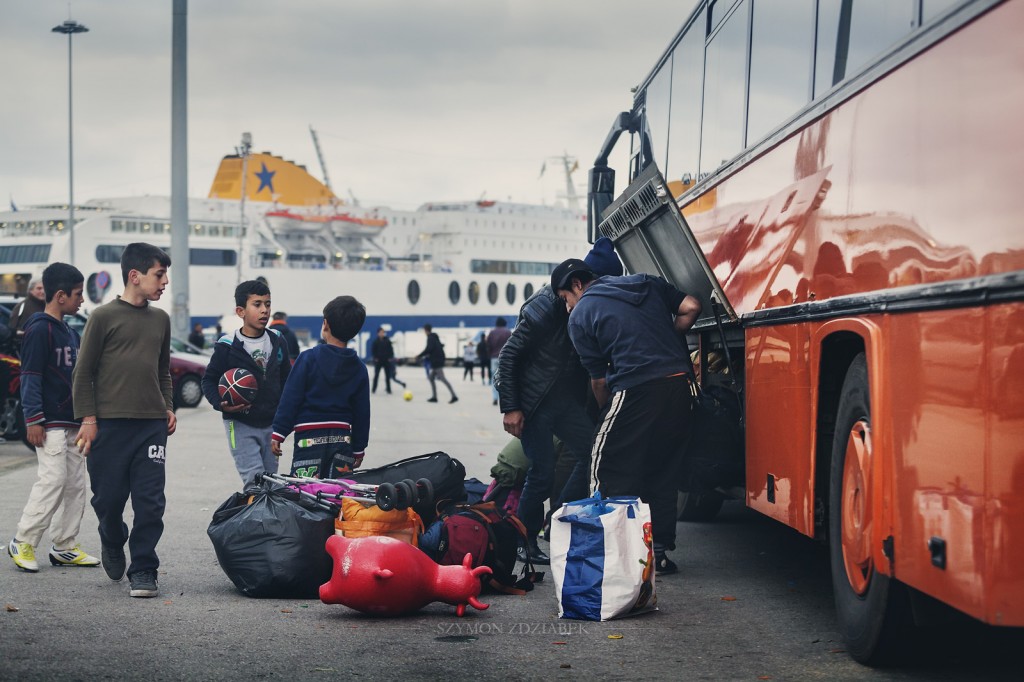 Zdjęcia: Pireus, Attyka, Krowa, GRECJA Zdjęcia: Pireus, Attyka, Krowa, GRECJA