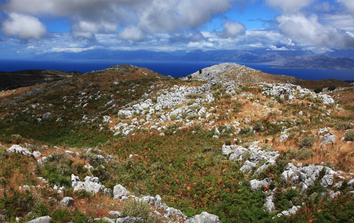 Zdjęcia: Pantokrator, Korfu, Paprocie i kamienie, GRECJA Zdjęcia: Pantokrator, Korfu, Paprocie i kamienie, GRECJA