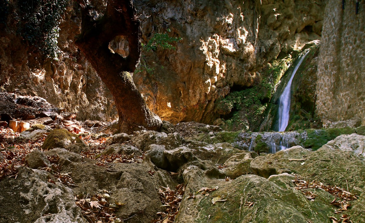 Zdjęcia: Dolina motyli, Rodos, W dolinie motyli, GRECJA Zdjęcia: Dolina motyli, Rodos, W dolinie motyli, GRECJA