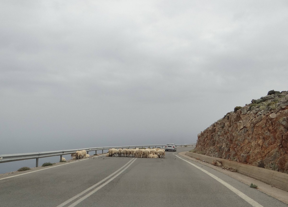 Zdjęcia: w górach, Kreta, Droga przez góry., GRECJA Zdjęcia: w górach, Kreta, Droga przez góry., GRECJA