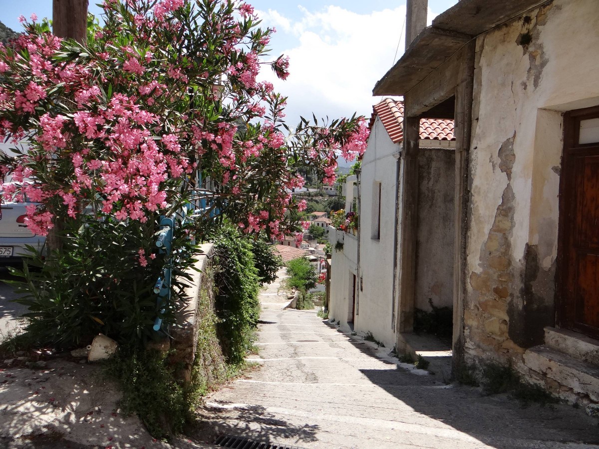 Zdjęcia: Argyroupolis, Kreta, W uliczce Argyroupolis., GRECJA Zdjęcia: Argyroupolis, Kreta, W uliczce Argyroupolis., GRECJA