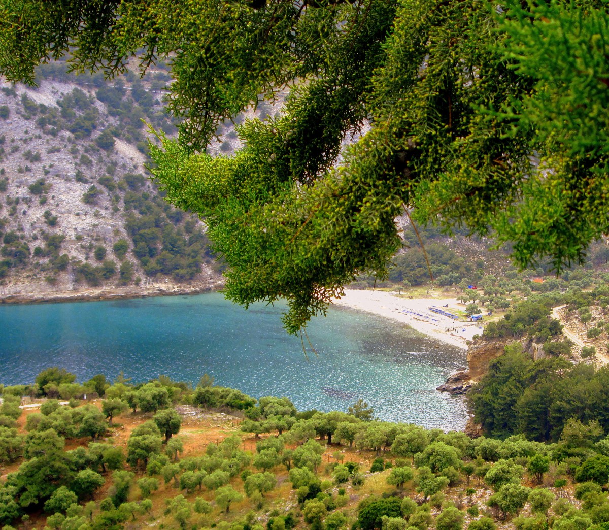 Zdjęcia: okolice Aliki, Thassos, Szmaragdowa zatoczka, GRECJA Zdjęcia: okolice Aliki, Thassos, Szmaragdowa zatoczka, GRECJA