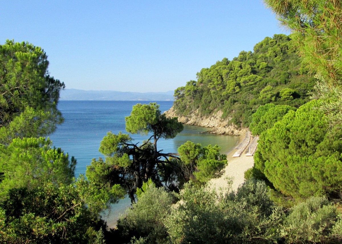 Zdjęcia: Skiathos - okolice Koukounaries, Sporady Północne, ~Plaża Xenia, GRECJA Zdjęcia: Skiathos - okolice Koukounaries, Sporady Północne, ~Plaża Xenia, GRECJA