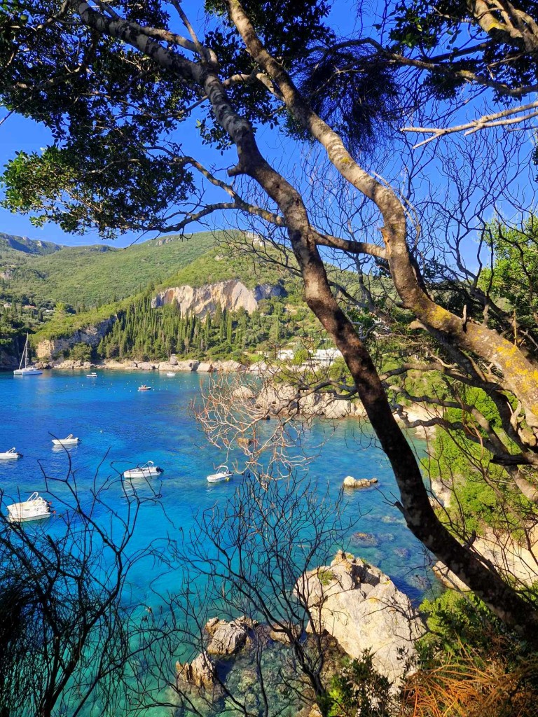 Zdjęcia: Liapades, Korfu, Rzut okiem na zatokę, GRECJA Zdjęcia: Liapades, Korfu, Rzut okiem na zatokę, GRECJA