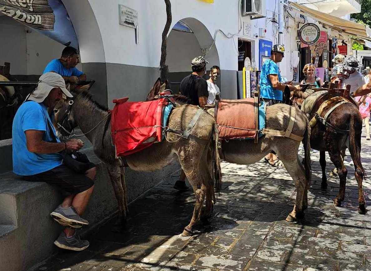 Zdjęcia: Lindos, Rodos, Nareszcie odpoczynek, GRECJA Zdjęcia: Lindos, Rodos, Nareszcie odpoczynek, GRECJA