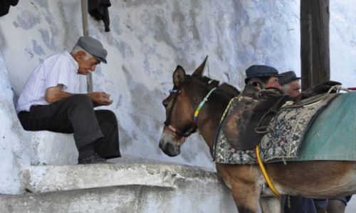 Zdjęcie GRECJA / SANTORINI / Fira / oczekiwanie na klienta
