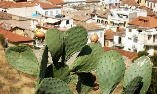 Zdjecie GRECJA / -Peloponez / Nauplion / Nauplion (Nafplion)