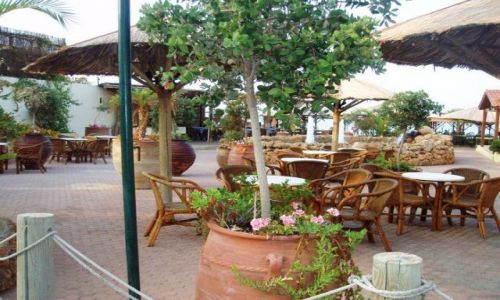 Zdjęcie GRECJA / Kreta-Malia / Malia / Kreta