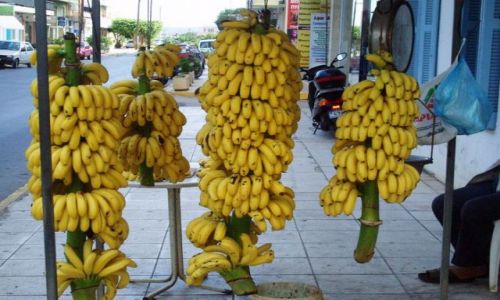 Zdjęcie GRECJA / Kreta-Malia / Malia / Kreta