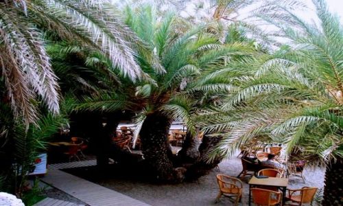 Zdjęcie GRECJA / - / Plaza -VAI / Kreta