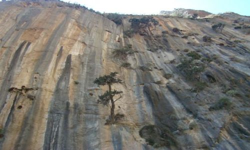 Zdjecie GRECJA / - / Kreta - Wwz Samaria / ciana skalna