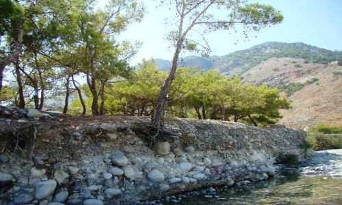 Zdjcie GRECJA / - / Kreta  / Koryto grskiej rzeki