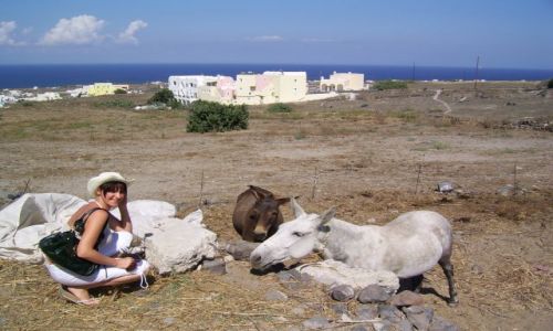 Zdjecie GRECJA / Cyklady / Santorini / Jak w Bajce