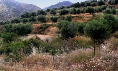 Zdjecie GRECJA / Kreta / Bali / Okolice Bali