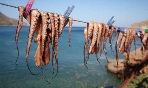 Zdjcie GRECJA / Kreta / Plaka / Plaka