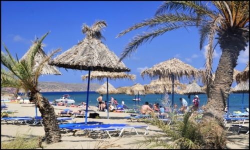 Zdjecie GRECJA / Kreta wschodnia / vai / plaa vai