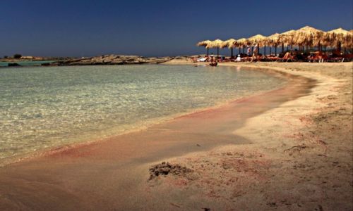 Zdjecie GRECJA / Kreta Zach. / Elafonisi. / Rowa plaa.