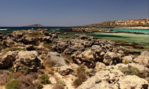 Zdjecie GRECJA / Kreta Zach.-zachodnim brzegu Krety. /  Plaa i wyspa Elafonisi. / Plaa o rowym piasku.