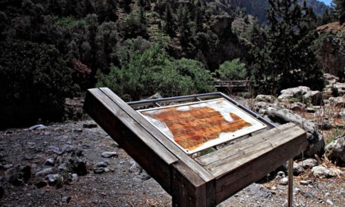 Zdjcie GRECJA / Paskowy Omalos na wysokoci 1200m / Samaria. / Wzdu wwozu Samaria.