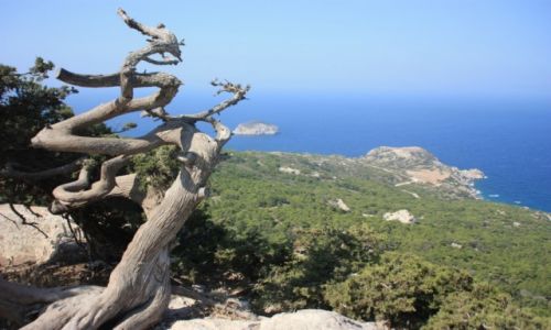 Zdjęcie GRECJA / Rodos-Monolithos / Rodos-Monolithos / Rodos-Monolithos