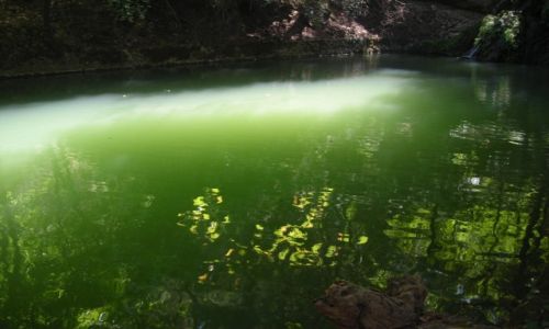 Zdj�cie GRECJA / Rodos / Valley of Butterflies / jezioro motyli