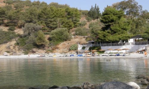 Zdj�cie GRECJA / - / Assini / Pla�a wpobli�u  kempingu Xeni