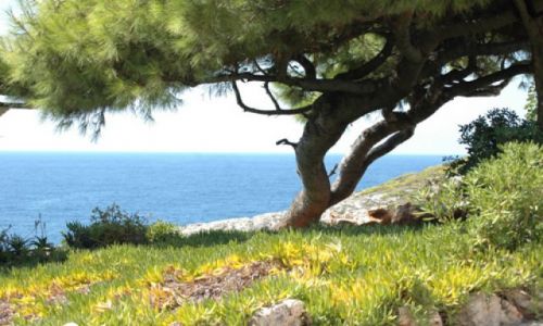 Zdjecie GRECJA / brak / Zakynthos  / Limnionas