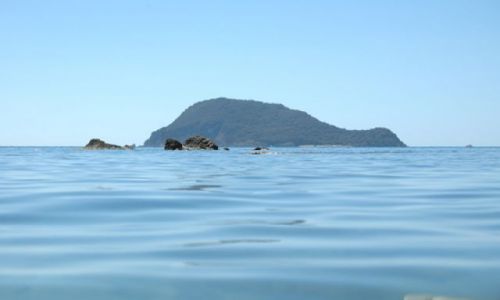 Zdjecie GRECJA / brak / Zakynthos / Wyspa żółwi
