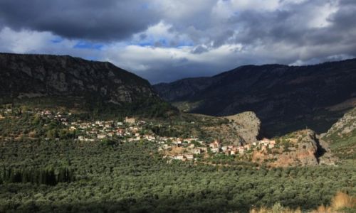 Zdjcie GRECJA /  Phocis / W drodze do Delf / U stp Parnasu