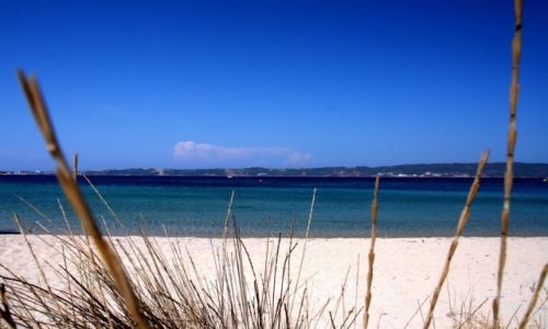 Zdjcie GRECJA / Chalkidiki / Ammouliani island / Ammouliani beach