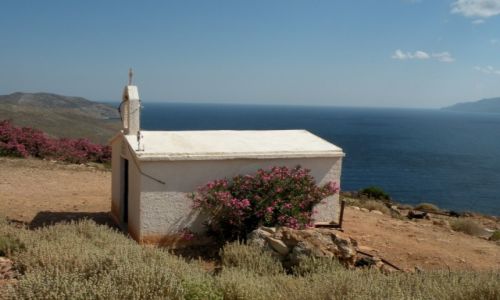 Zdjcie GRECJA / Kreta / w drodze do zatoki Balos / Kociek