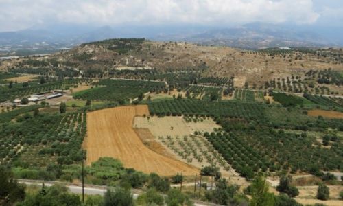 Zdj�cie GRECJA / Kreta / Faistos / krete�skie pejza�e