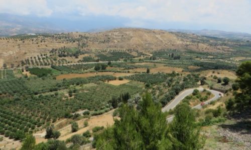 Zdj�cie GRECJA / Kreta / Faistos / krete�skie pejza�e