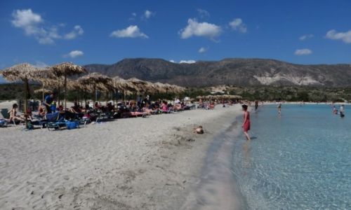 Zdjcie GRECJA / Kreta / Kreta Zachodnia / plaa Elafonisi