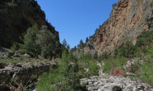 Zdjcie GRECJA / Kreta / Kreta Zachodnia / wwz Samaria